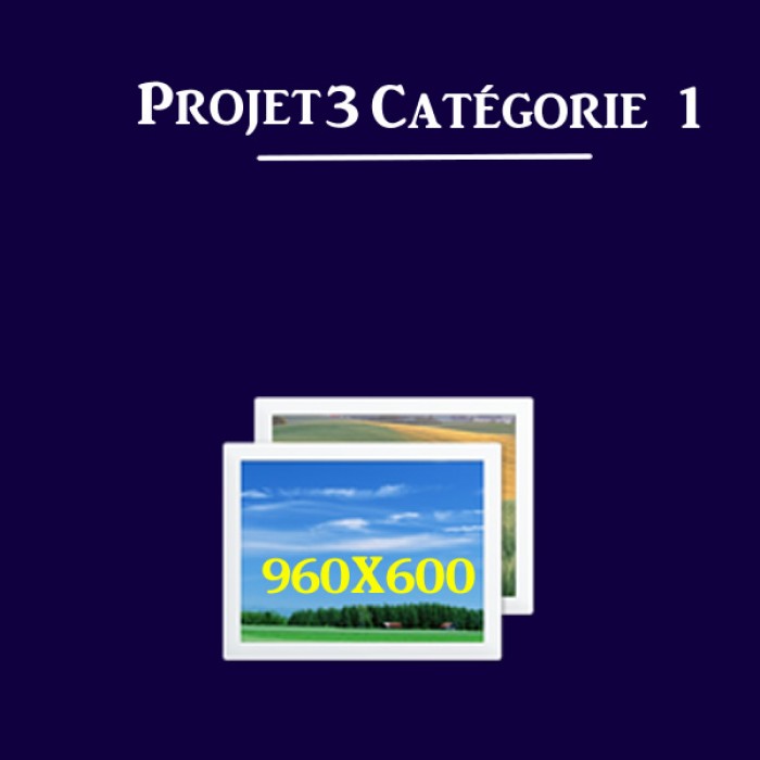 projet-3-categorie-1