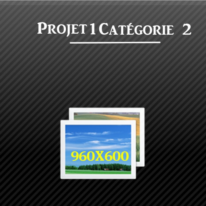 projet-1-categorie-2