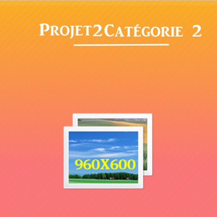 projet-2-categorie-2