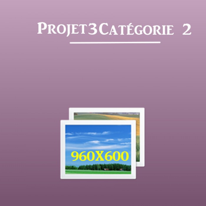 projet-3-categorie-2