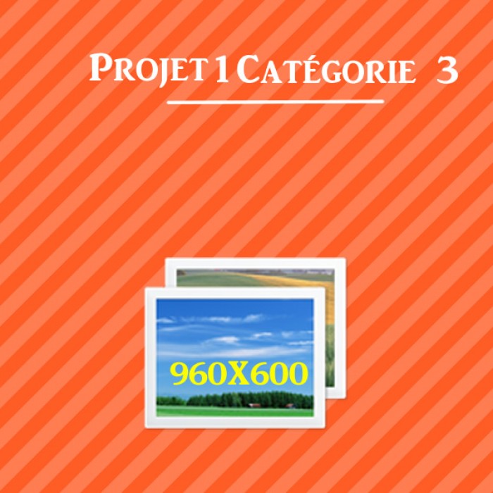 projet-1-categorie-3
