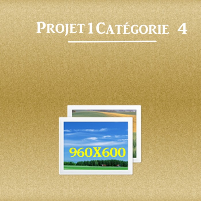 projet-1-categorie-4