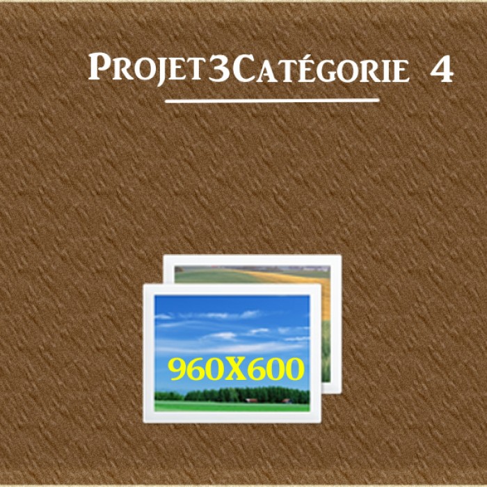 projet-3-categorie-4